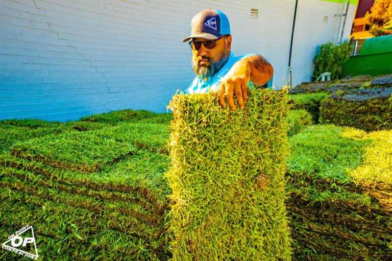 Lawn Replacement near Crowley