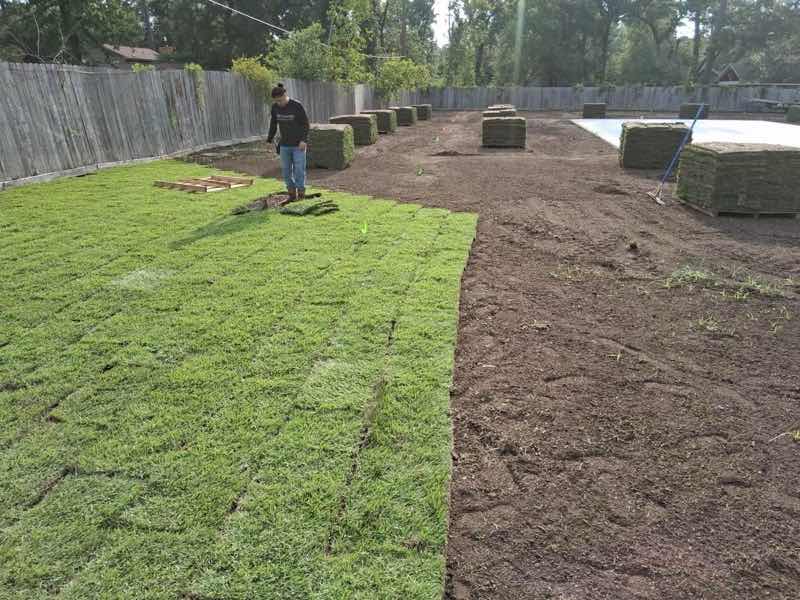 Sod Installation Project near Keller