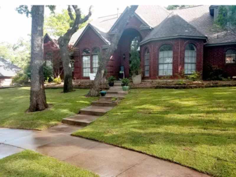 Lawn Replacement near Keller